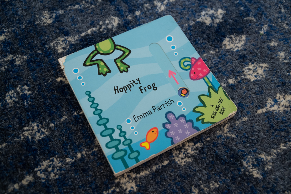 hoppity frog children's book