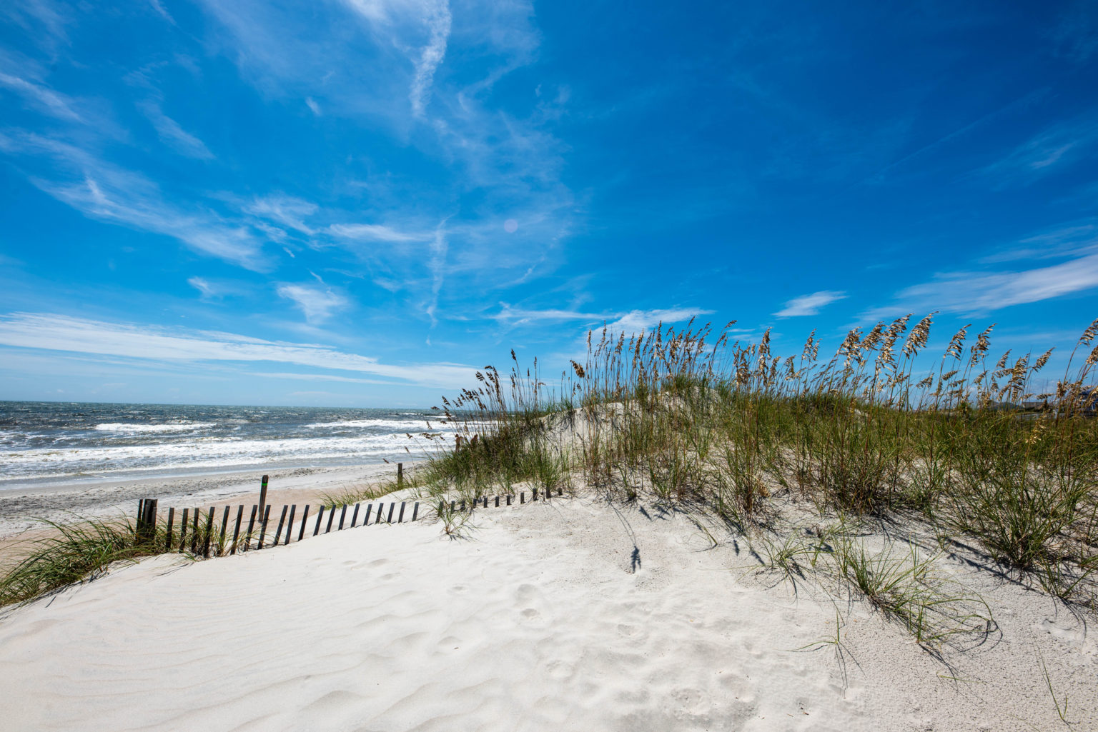 Beach Books to Get Your Toddler Excited for Summer! - A Little Library