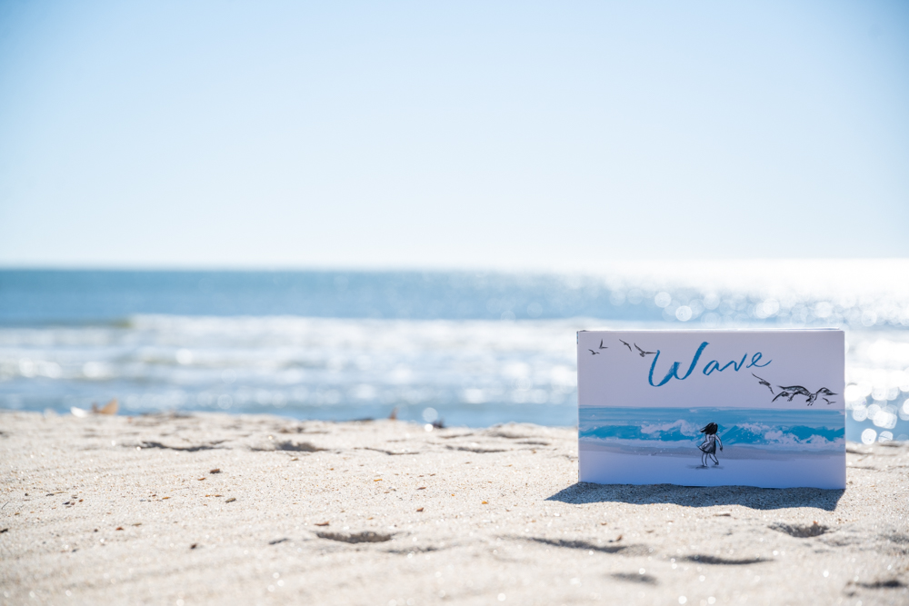 wave wordless book