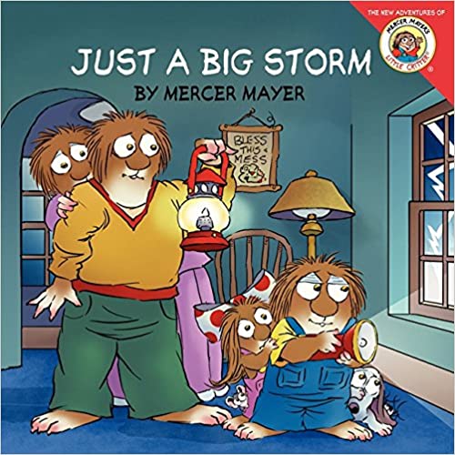 just a big storm children's book