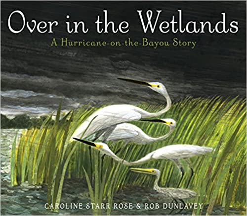 over in the wetlands: a hurricane on the bayou story childrens book