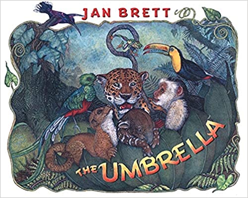 the umbrella by jan brett