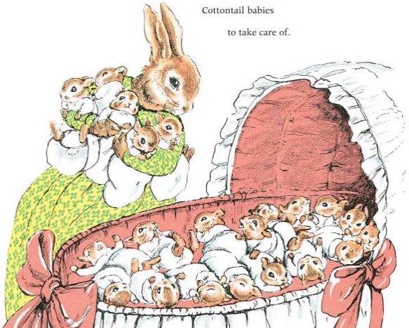 the country bunny and the little gold shoes children's book illustration