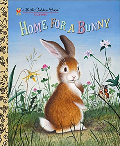 home for a bunny children's book