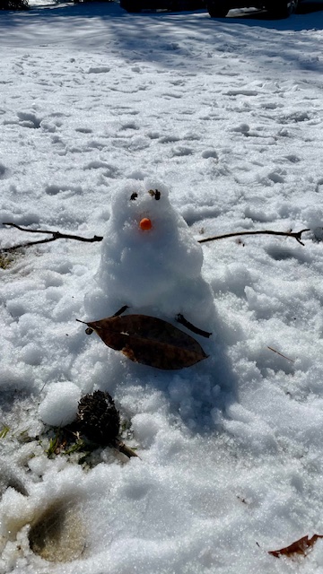 small florida snowman